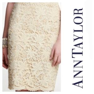 Ann Taylor Cream Ivory Lace Pencil Skirt 10 NEW NWT